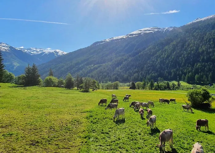 Appartement Breithorn- Perfect For With Amazing View! Obergesteln
